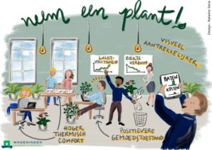 Minder ziekteverzuim op de werkvloer? Neem een plant!