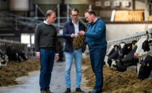 Nieuw veevoeradditief verlaagt methaanemissies melkkoeien in Nederland significant