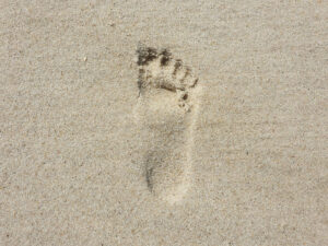 Verminderen van de CO2-voetafdruk: de rol van cloud gaming en online casino’s Verminderen van de CO2-voetafdruk: de rol van cloud gaming en online casino’s