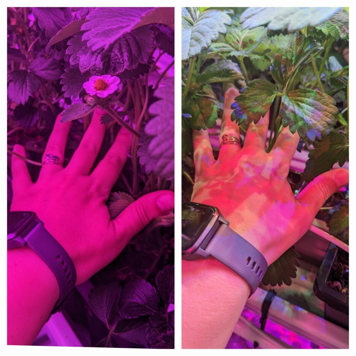 MechaTronix en Colruyt Group