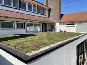 De voordelen van een groen dak