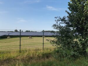 Eén van Nederlands grootste particuliere zonneparken geopend
