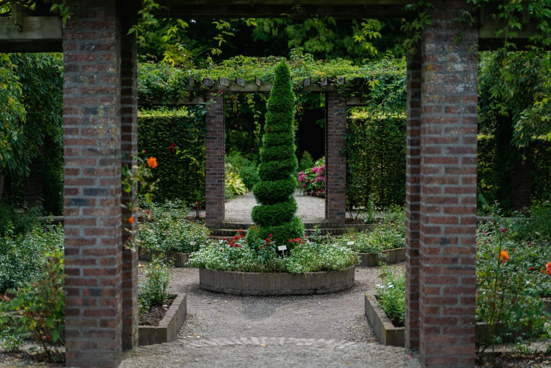 tuin