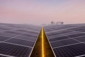 “Eekerpolder”: grootste zonnepark van Nederland gefinancierd