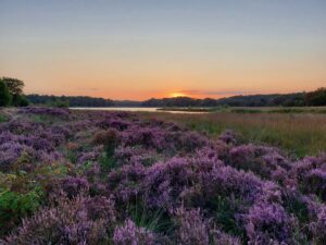 Biodiversiteitsvoetafdruk: Universiteit Utrecht laat als eerste in Nederland dit meten Biodiversiteitsvoetafdruk: Universiteit Utrecht laat als eerste in Nederland dit meten