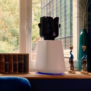 Thuisbatterij met juiste spelregels vermindert piek op stroomnet tot wel 60 procent Thuisbatterij met juiste spelregels vermindert piek op stroomnet tot wel 60 procent