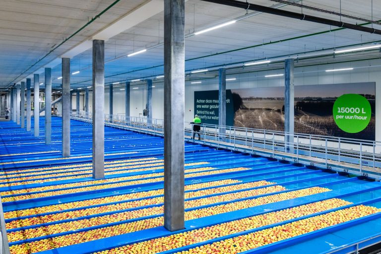 Smart Fruit Hub
 2
