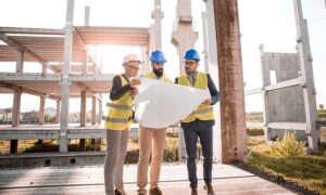 Kabinet moet nú werk maken van haalbare plannen na betekenisvolle uitspraak in stikstofzaak