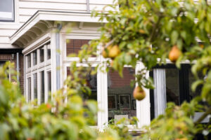 Waarom is een uitbouw van je woning een duurzame oplossing?