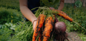 De Week van Ons Eten van start: ontdek, proef en beleef Drenthe