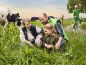 Campina verdubbelt kruidenrijk grasland op tweehonderd boerderijen