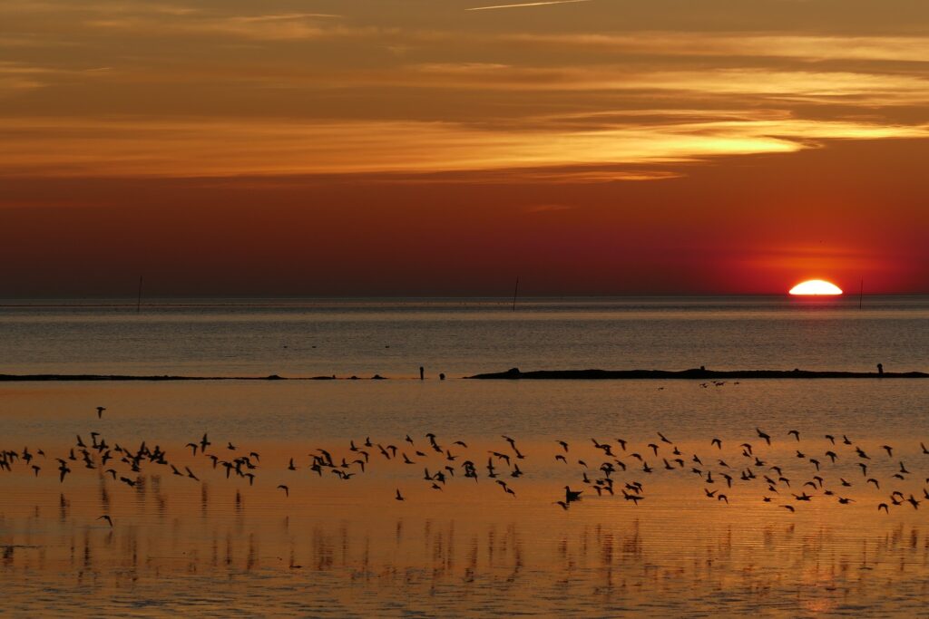 Waddenfonds 1