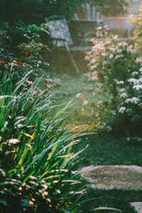 Duurzaam tuinonderhoud: zo maak je je tuin klaar voor een droge zomer