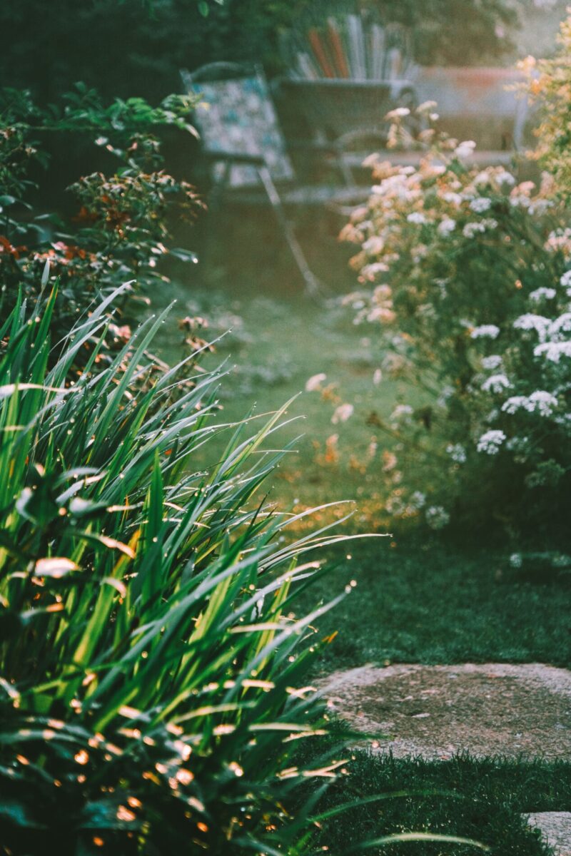 tuinonderhoud
