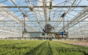 Regio Zuid-Holland zet in op samenwerking en innovatie in tuinbouw