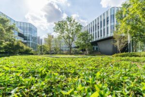 SAP lanceert CO2-boekhoudsysteem SAP Green Ledger