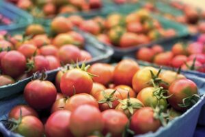 Vernieuwd dashboard geeft informatie over duurzaamheid meeste Nederlandse supermarkten