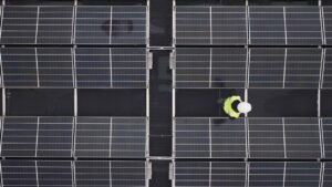 Duurzaam gokken? Dit doen casino’s aan duurzaamheid